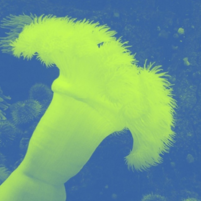 El Nodo Nacional de Información en Biodiversidad (GBIF España) supera los mil millones de registros de biodiversidad