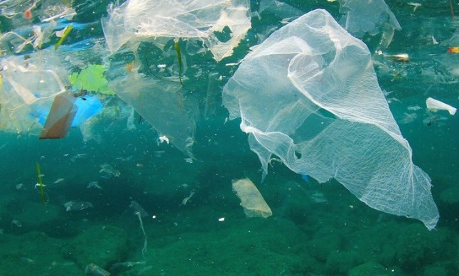 Expertos de 30 países se reúnen en Sevilla capital para buscar soluciones ante las basuras marinas