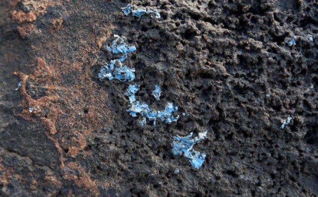 Insólito plástico incrustado en roca aparece en la costa de Madeira