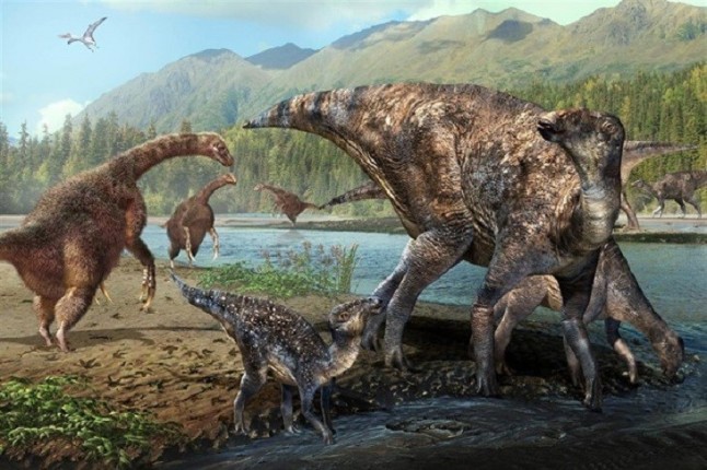 Un dinosaurio del tamaño de un ualabí