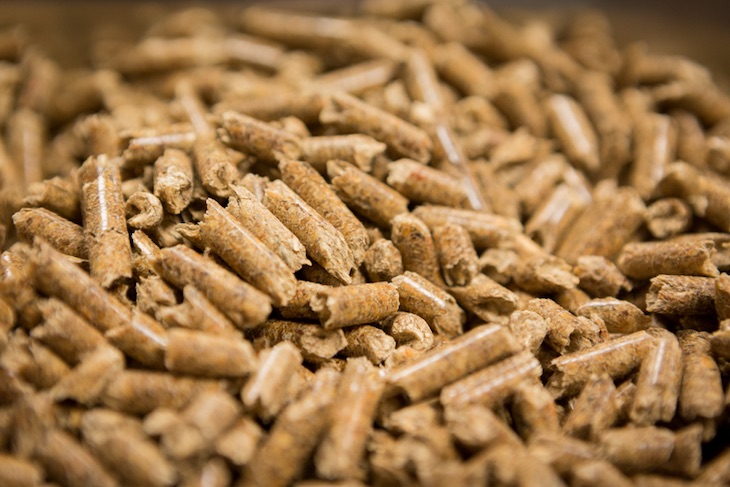 Airtificial vende un proyecto de biomasa