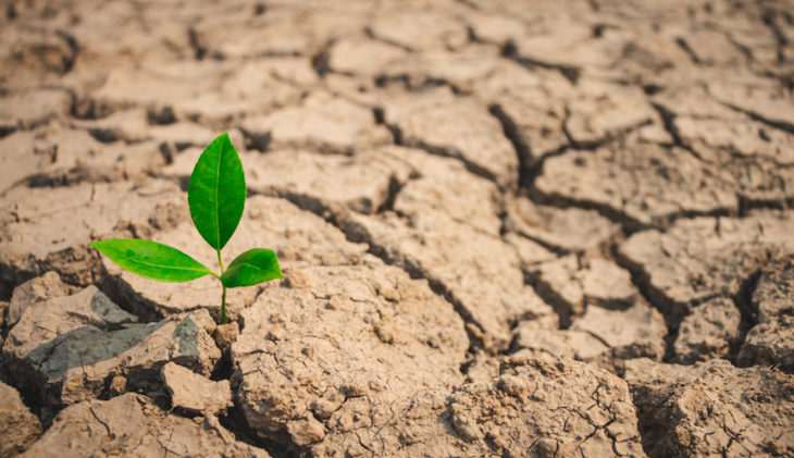 La Ley de Cambio Climático