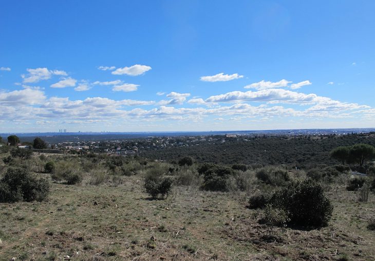 El Gobierno desarrollará una Estrategia Estatal de Infraestructura Verde y de Conectividad y Restauración Ecológicas
