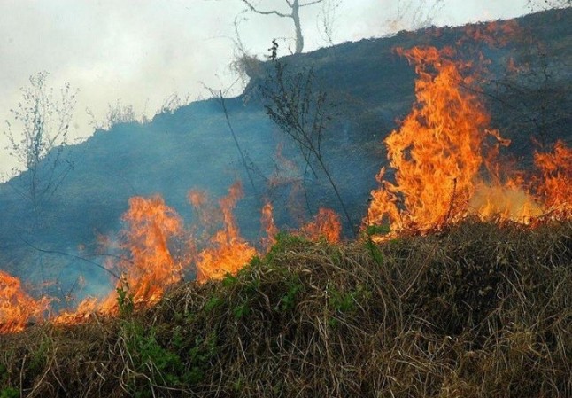 Situación de incendios forestales al 23 de mayo: 11:00 horas