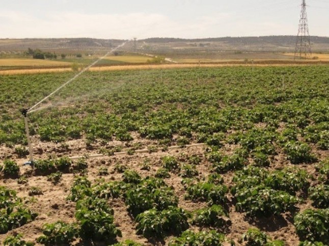Denuncian la extracción abusiva de agua para regadío en parcelas agrícolas de Torrejón de Velasco
