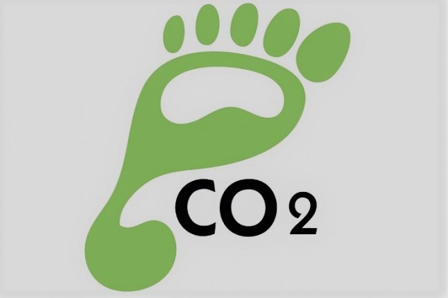 Expertos mundiales reclaman a las grandes ciudades atajar la huella de carbono