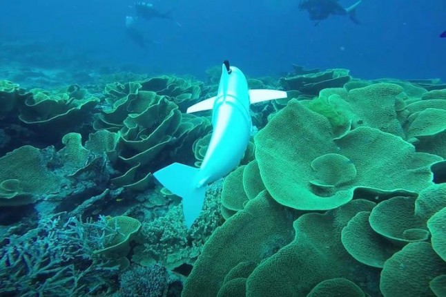 Un pez del MIT para estudiar la vida marina