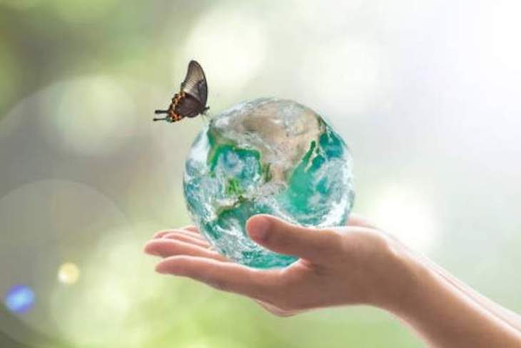 Los hábitats más pequeños son peores de lo esperado para la biodiversidad