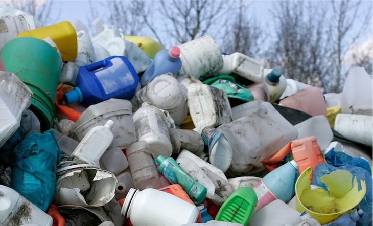 La manacorina Terracor