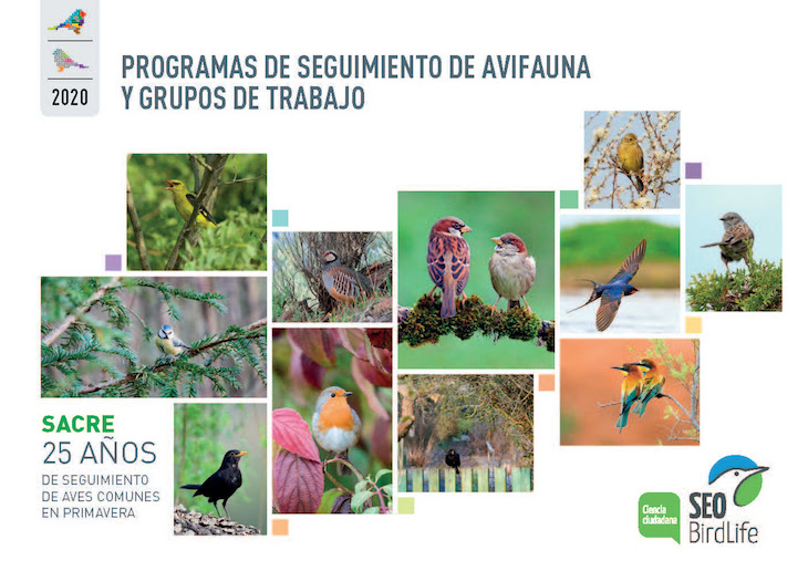 Las especies de aves se encuentran en una situación desfavorable