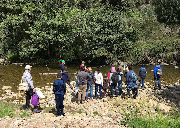 Los insectos polinizadores esenciales para la biodiversidad