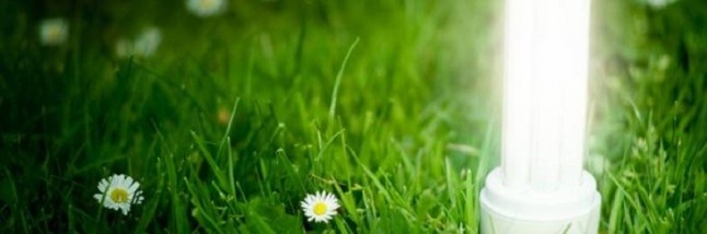 Máster en Eficiencia Energética y Sostenibilidad