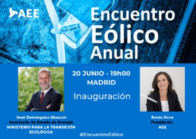 Encuentro Eólico Anual 2019