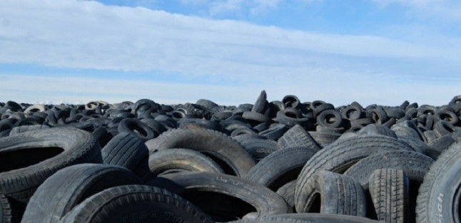 SIGNUS reconoce a casi mil talleres comprometidos con el medio ambiente