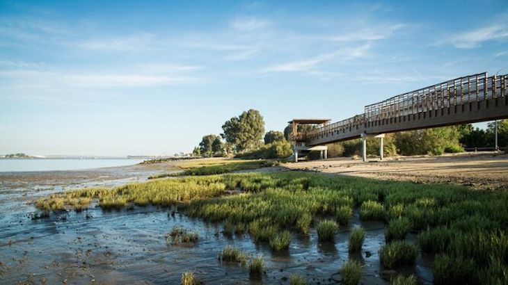 Puerto de Huelva ‘apuesta’ por los ODS