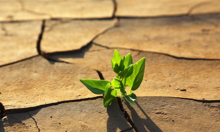 Sindicatos ‘arremeten’ contra una ley de cambio climático sin ambición ni recursos
