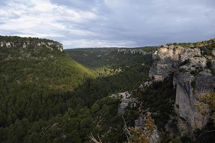 Día Europeo de la red Natura 2000 2021