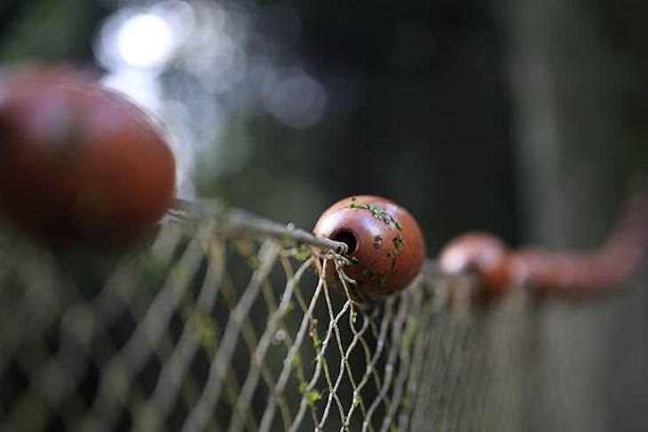 Día Internacional de la Lucha contra la Pesca Ilegal, No Declarada y No Reglamentada 2024