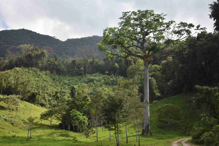 Justicia mexicana llegará a la comunidad de la Selva Lacandona