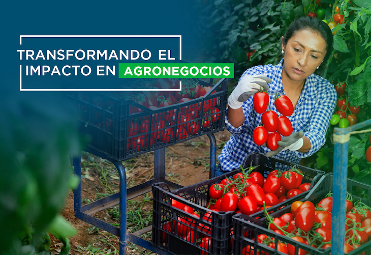 Claves para el sector agrícola durante COVID-19 en América Latina y el Caribe