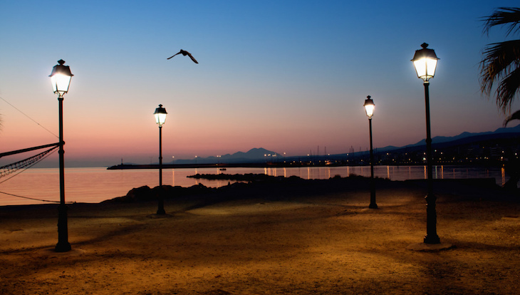 El ruido y la contaminación lumínica perjudican seriamente a las aves