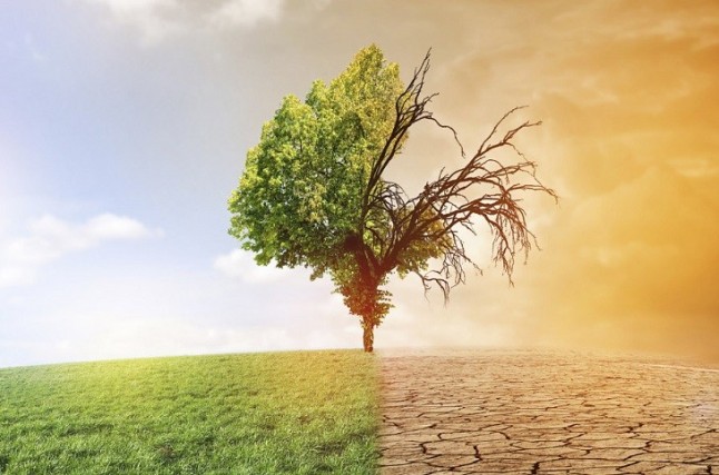 La influencia humana en el cambio climático se remonta a 1860