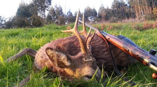 Un cazador furtivo condenado por abatir un corzo en Palencia
