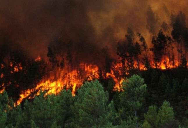 El CO2 emitido por incendios en el Amazonas multiplica lo previsto
