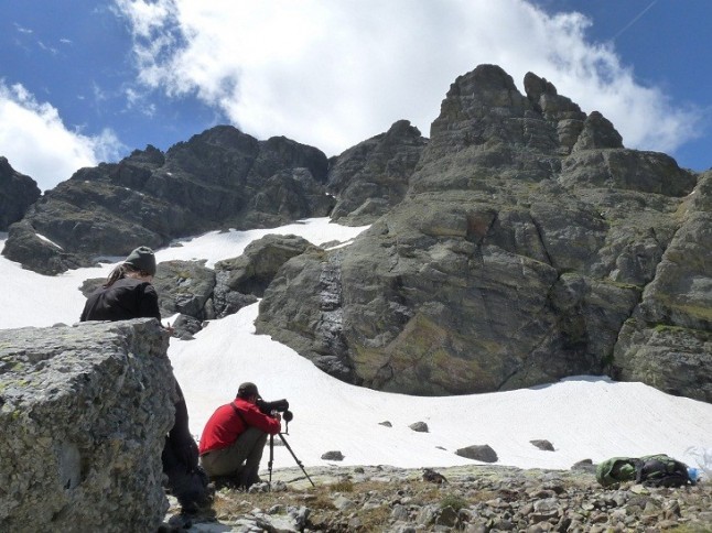 Un método simplificado para controlar especies amenazadas que habitan en entornos extremos