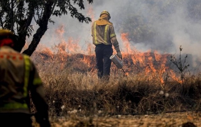 El Ministerio de Agricultura envía 4 medios aéreos para luchar contra el incendio forestal en Torre de lEspanyol (Tarragona)