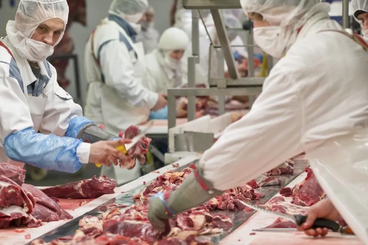 Foco de contagios y la precariedad de las condiciones de trabajo en la industria alemana de procesamiento de carne