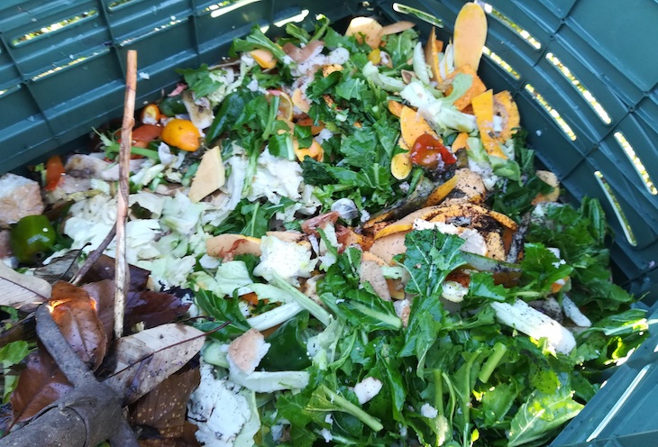 Residuos y reciclaje en Galicia. Oia amplía su programa de autocompostaje