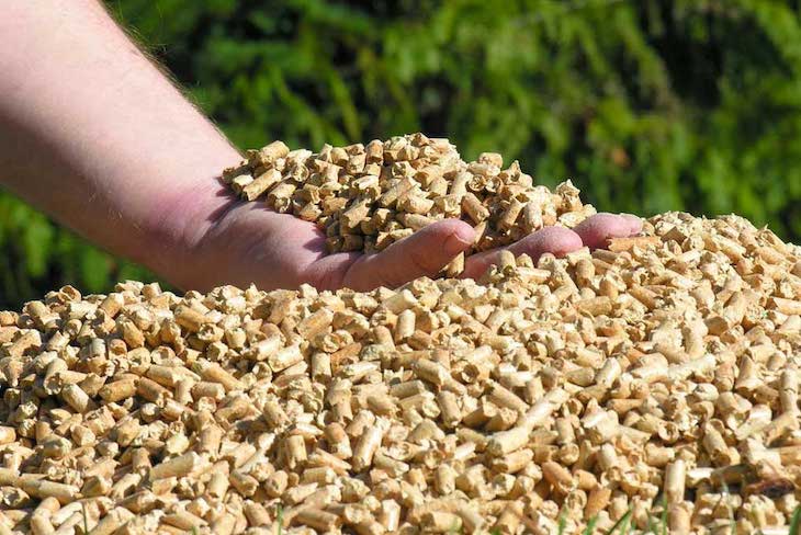 Biomasa ‘protagonista’ de julio 2021