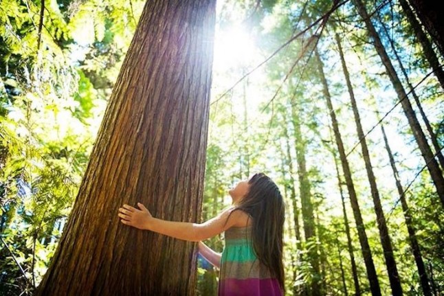 Hay que aumentar de forma drástica la protección ambiental para evitar serios problemas de salud