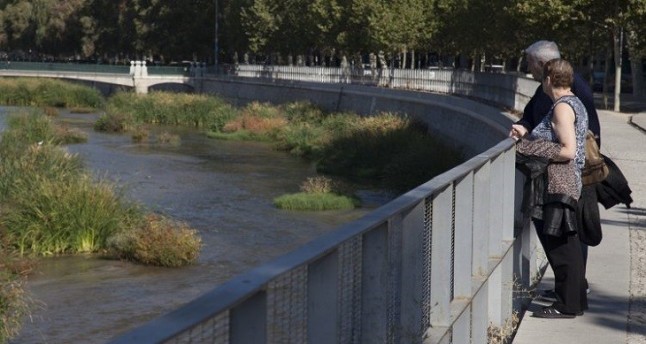 El Manzanares tendrá un nuevo contrato de mantenimiento acorde a la renaturalización