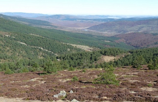 El Parque de Sierra de Cebollera programa este sábado una actividad sobre conocimiento de usos tradicionales de plantas