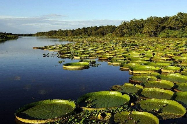 Nace el mayor Parque Nacional de Argentina