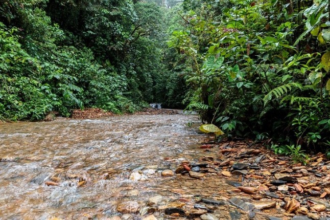 Balance ambiental de 2018