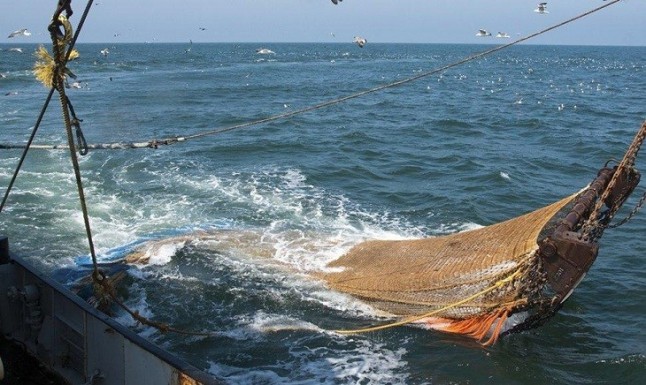 Los europarlamentarios españoles se ponen de perfil para conservar los océanos