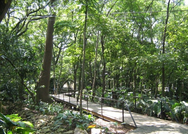 La Junta de Andalucía se niega a que el Jardín Botánico de El Bosque lleve el nombre del profesor Pepe Juárez