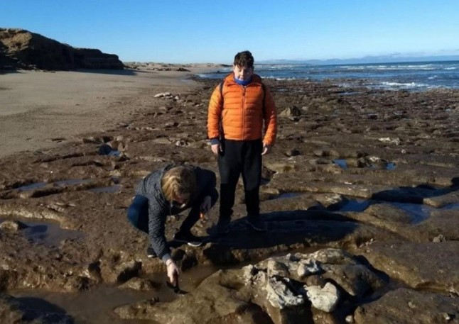 Un escáner médico desvela misterios de un reptil marino prehistórico