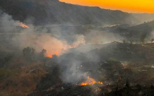 El humo de los incendios forestales es peor para la salud de los niños que el de los fuegos controlados