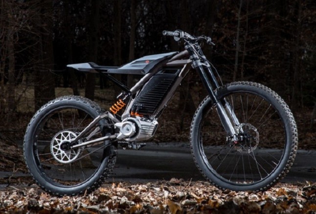 Harley-Davidson presenta dos conceptos eléctricos que no requieren licencia para conducirlos