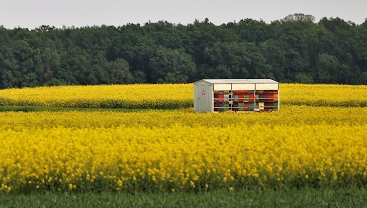 8º Plenario de la IPBES