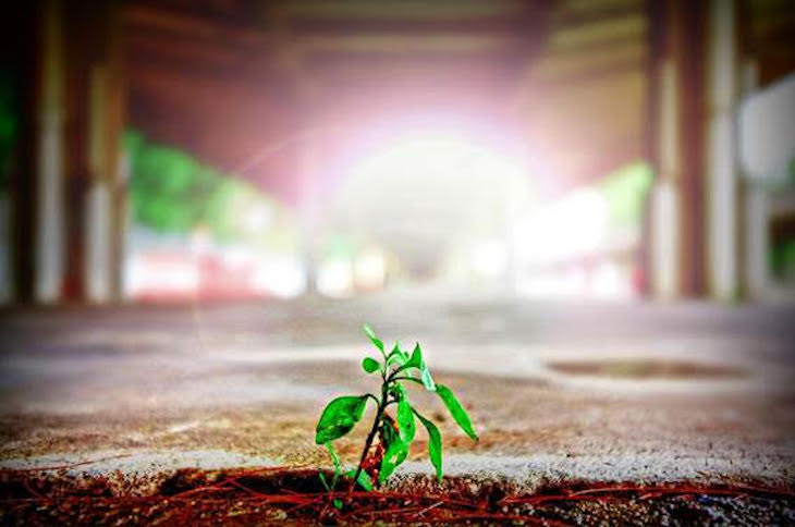 Día Mundial del Comercio Justo 2021