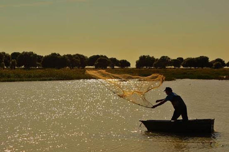 Dorada y Lubina de CARREFOUR criadas en estero con su marca círculo de calidad