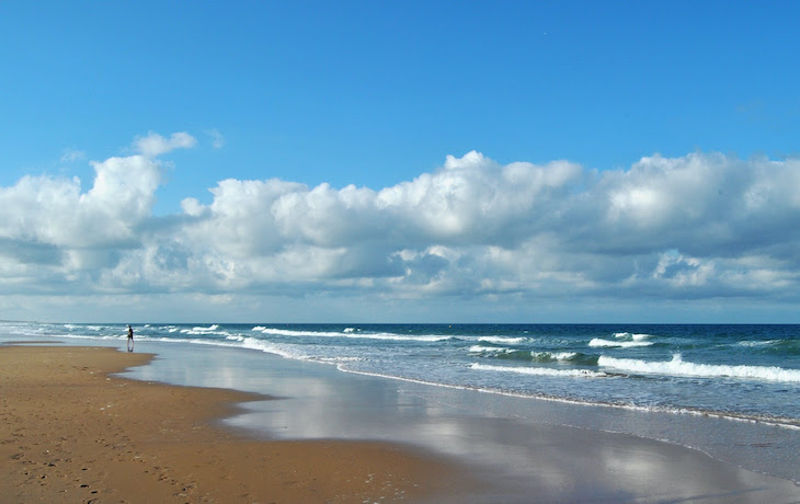 Reserva Marina de Conil