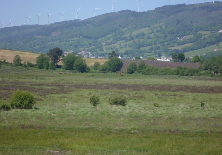 Asturias. Hay que proteger la turbera de la Molina