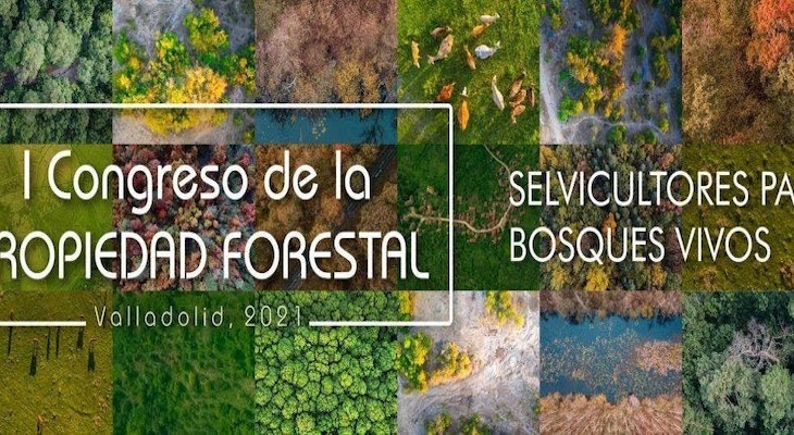Así será el I Congreso de Propiedad Forestal de España que se celebrará en Valladolid en 2021
