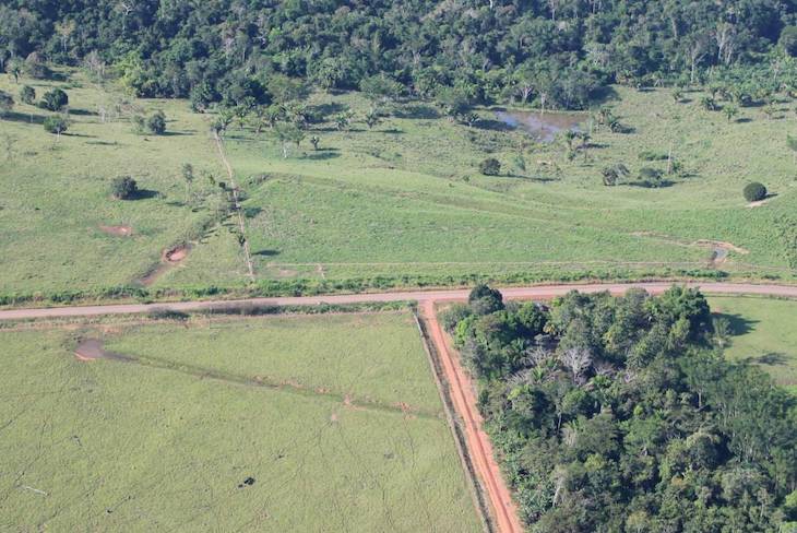 Una civilización precolonial ya realizó cambios en la selva amazónica hace miles de años